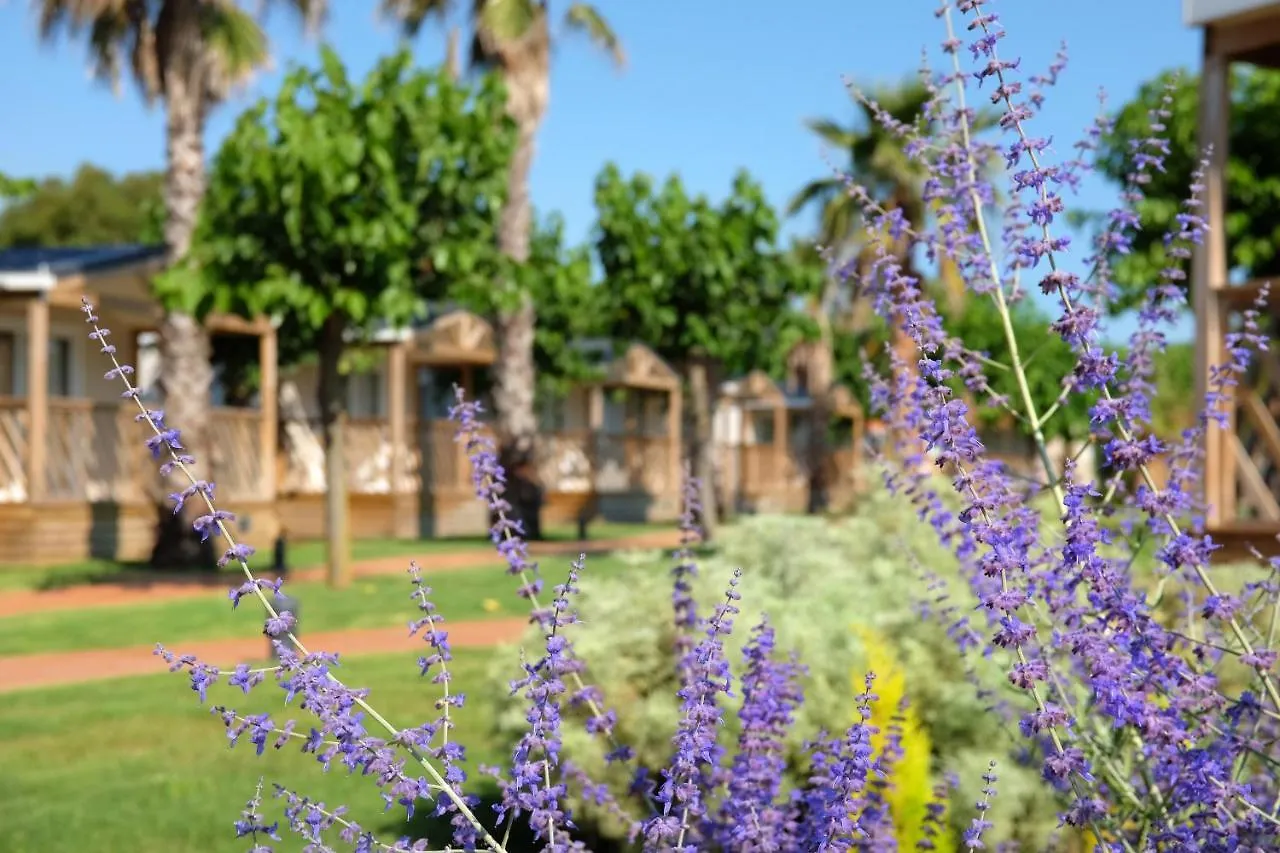 Camping El Pinar Hotel Blanes España