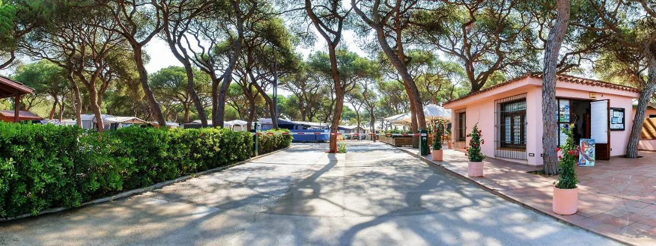 Camping El Pinar Hotel Blanes Spain