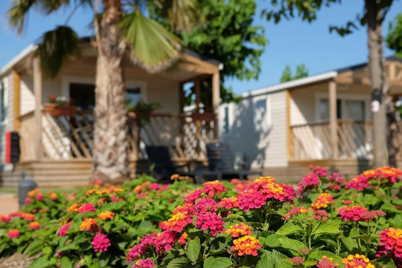 Camping El Pinar contacts